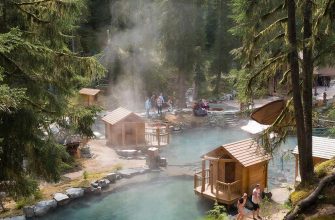 Поддержка иммунитета зимой: Системный подход к здоровью